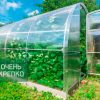 Теплица Звезда 3м фото 2
