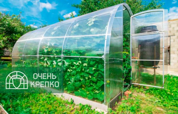 Теплица Звезда 3м фото 2