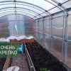 Теплица Сказка фото 5