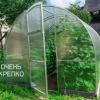 Теплица Звезда фото 2