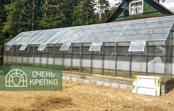 Теплица Алтайская сказка фото 3