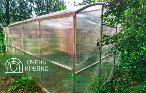 Теплица Квадратная фото 3