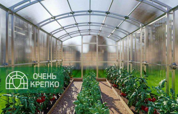 Купить теплицу «Сказка» шириной 3 м от производителя по низкой цене