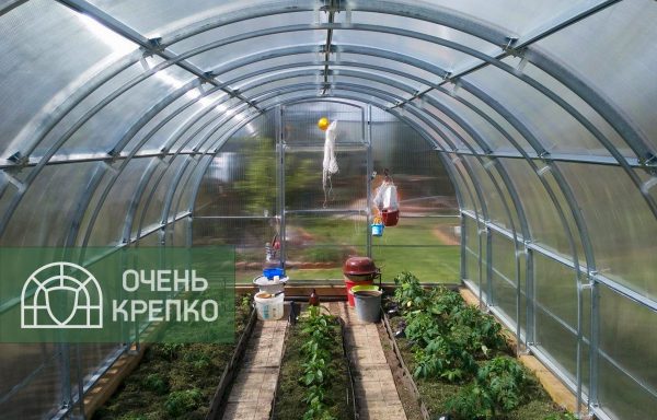 Теплица Усиленная фото 7