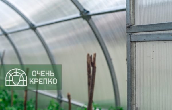 Теплица Счастье Садовода Люкс фото 2