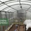 Теплица Гриб 3м Люкс фото 3