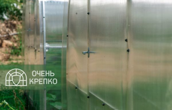 Теплица Усиленная Люкс фото 3