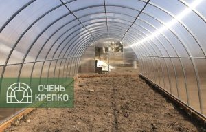 Теплица Социальная 3м